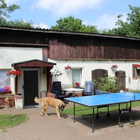 Heidi Apartment Zinnowitz Exterior foto